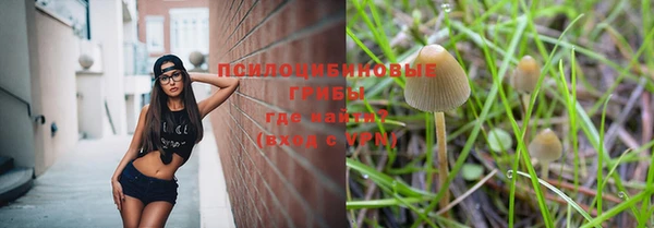 шишки Алексин