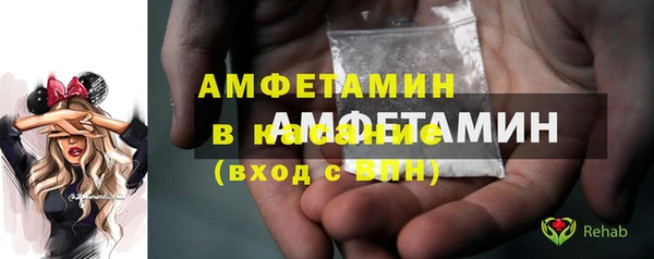 шишки Алексин