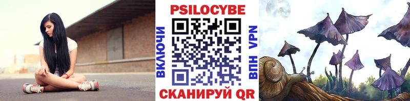 Псилоцибиновые грибы Magic Shrooms  blacksprut ONION  Сольвычегодск 